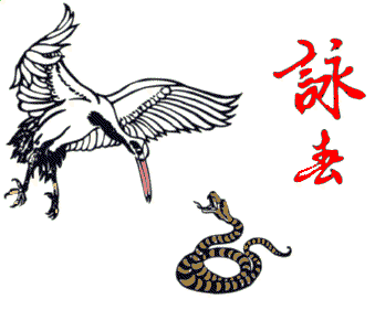 Tai Ji Quan Gru e Serpente